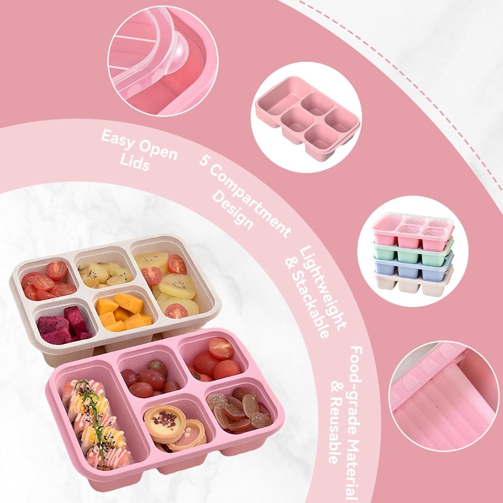 재사용 가능한 5칸 도시락통이 있는 도시락통, 여행 및 - Snack Container Travel 리뷰 및 가격